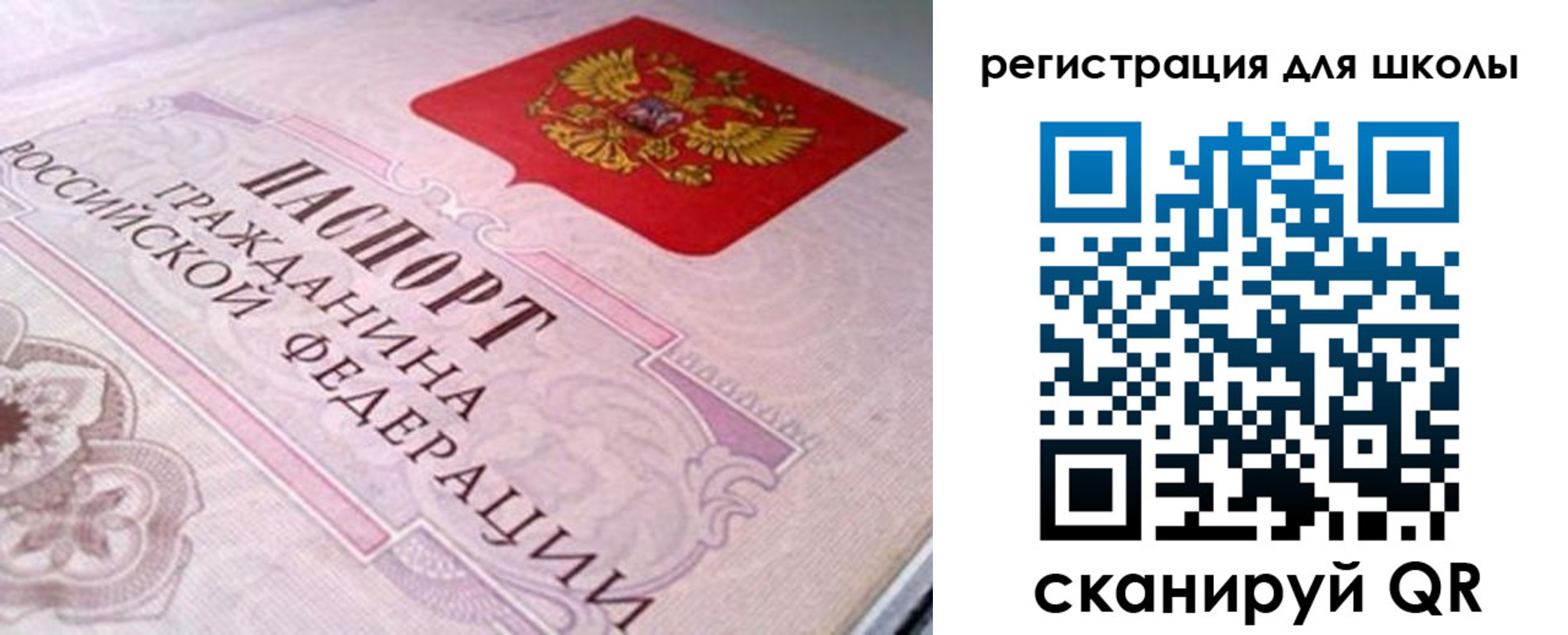 пропишу в квартире в Пионерском